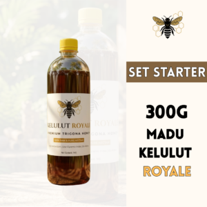 SET STARTER 300G